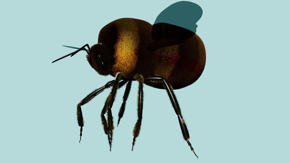 Insect — modelled and shaded