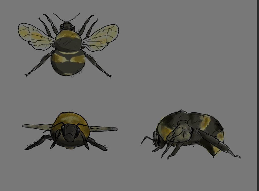 Bee studies