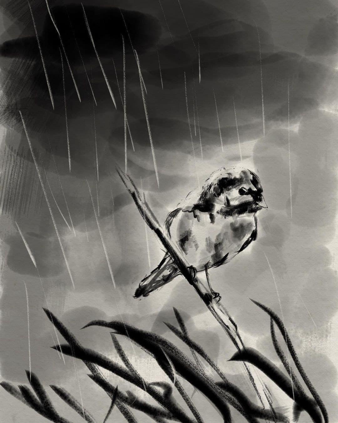Figure in rain
