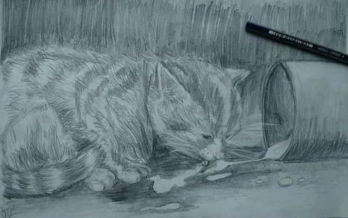 Sleeping cat — tonal study