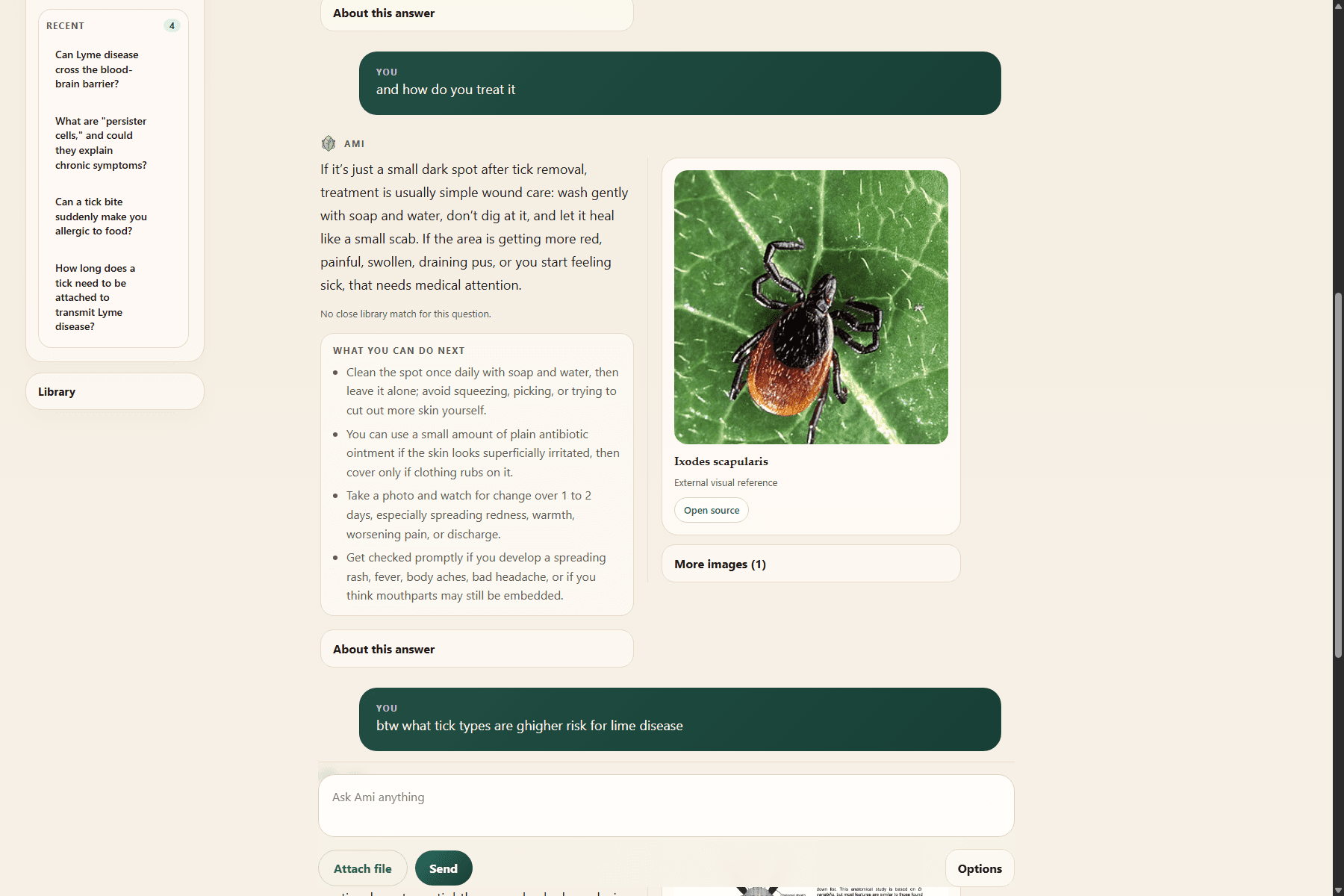 Ami follow-up answer showing practical next steps and a helpful tick image reference